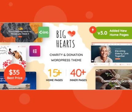 BigHearts - Charity & Donation WordPress Theme