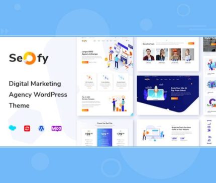 Gpl-Theme-Seofy-Digital-Marketing-WordPress-Theme