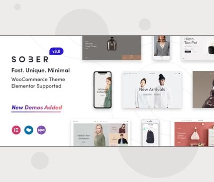 Gpl Theme Sober - WooCommerce WordPress Theme