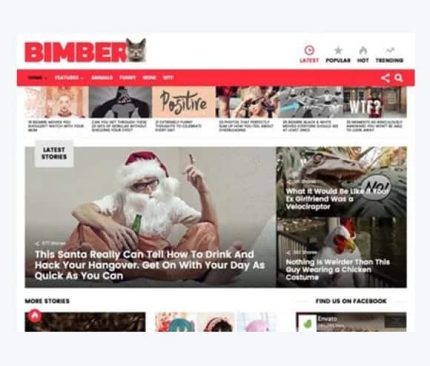 Theme Bimber WordPress Theme – Viral & Buzz
