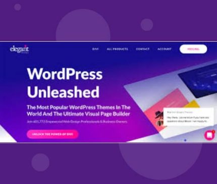 Gpl-Elegant-Themes-InReview-WordPress-Theme