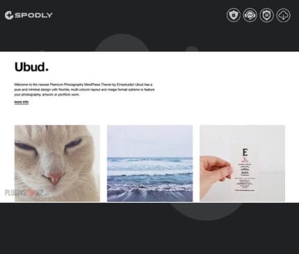 Gpl-Elmastudio-Ubud-WordPress-Theme