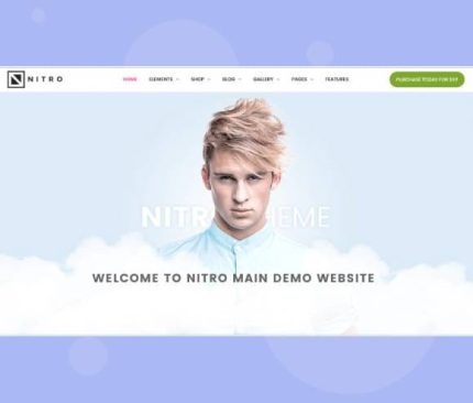 Gpl-Theme-Nitro-WooCommerce-Theme-–-Universal-Theme-From-eCommerce-Experts
