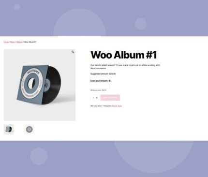 WooCommerce Name Your Price