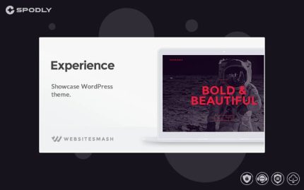 Experience - Showcase WordPress Theme