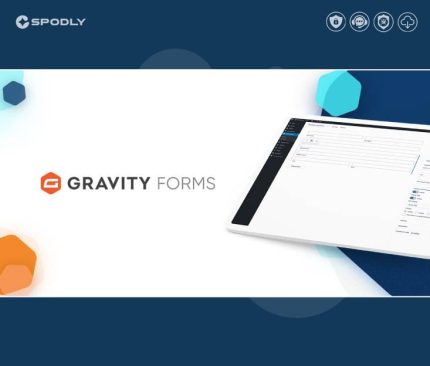 Gravity-Forms-WordPress-Plugin