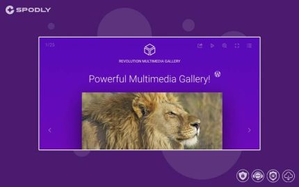 Revolution-Multimedia-Gallery-Wordpress-WooCommerce-Plugin