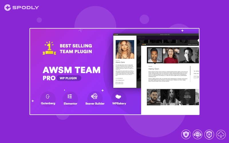 The Team Pro - Team Showcase WordPress Plugin