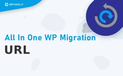 All-In-One-WP-Migration-URL