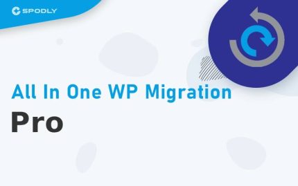 All-in-One-WP-Migration-Pro