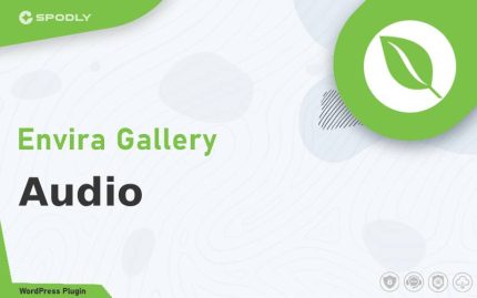 Envira Gallery - Audio
