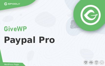 GiveWP - Paypal Pro