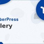 Meow - Meow Gallery (Pro)