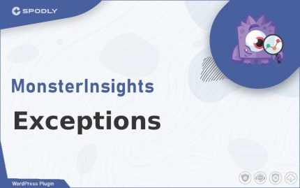 MonsterInsights - Exceptions