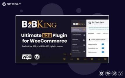 B2BKing Pro