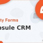 Wordpress Plugin Gravity Forms - Capsule CRM