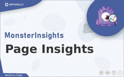 Wordpress Plugin MonsterInsights - Page Insights