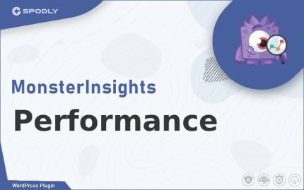 Wordpress Plugin MonsterInsights - Performance