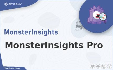 Wordpress Plugin MonsterInsights Pro