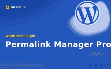 Permalink Manager Pro - WordPress Plugin