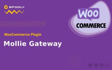 WooCommerce Plugin WooCommerce - Mollie Gateway
