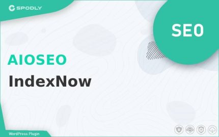 Wordpress Plugin SEO AIOSEO - IndexNow