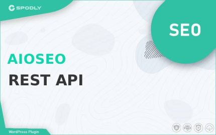 Wordpress Plugin SEO AIOSEO - REST API
