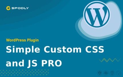 Simple Custom CSS and JS PRO