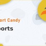 SupportCandy - Reports