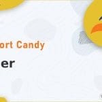 SupportCandy - Timer