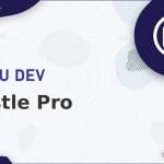 Wordpress Plugin WPMU DEV - Hustle Pro
