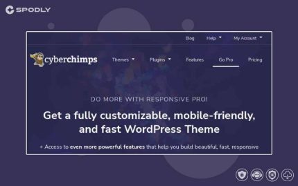 Wordpress plugin CyberChimps CyberChimps Pro Features WordPress Plugin