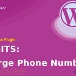 Wordpress plugin DIGITS: Merge Phone Number