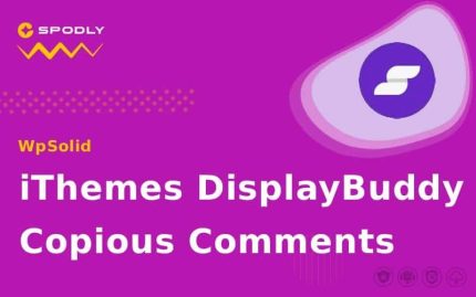 iThemes DisplayBuddy Copious Comments