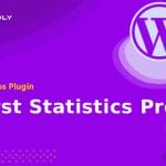Burst Statistics Pro - WordPress Plugin