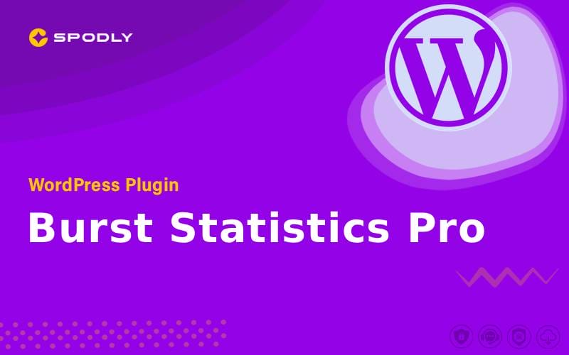Burst Statistics Pro - WordPress Plugin Burst Statistics Pro - WordPress Plugin
