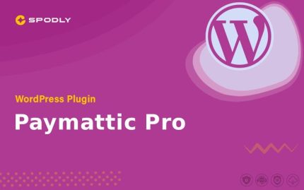 Paymattic Pro - WordPress Plugin