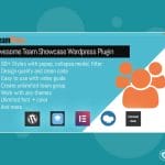 TeamPress - Team Showcase plugin