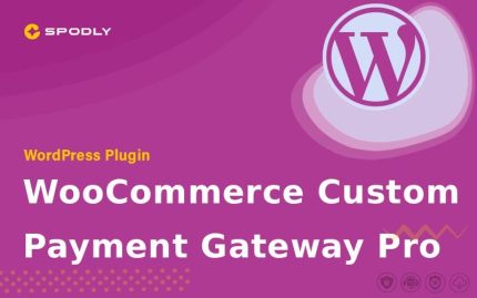 Wordpress Plugin WooCommerce Custom Payment Gateway Pro