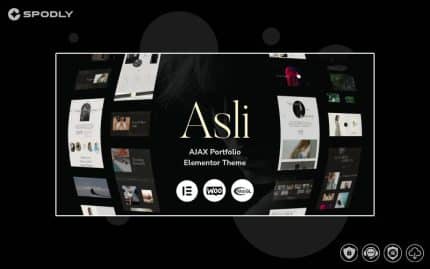 Asli – AJAX Portfolio Elementor WordPress Theme