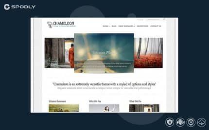 Elegant Themes Chameleon WordPress Theme
