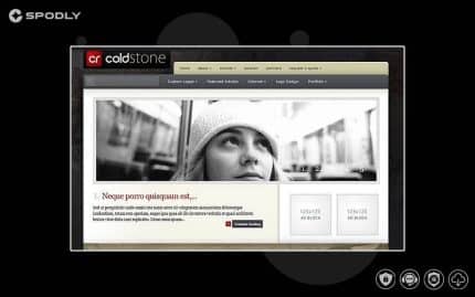 Elegant Themes ColdStone WordPress Theme