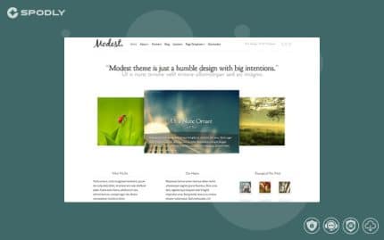 Elegant Themes Modest WordPress Theme