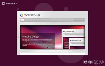 Elegant Themes TheProfessional WordPress Theme