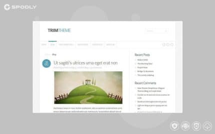 Elegant Themes Trim WordPress Theme