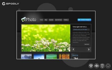 Elegant Themes ePhoto WordPress Theme