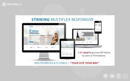 Striking - MultiFlex & Ecommerce Responsive WP Theme