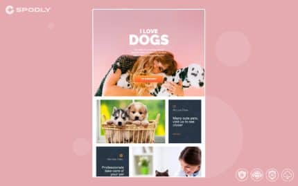 VisualModo - Petshop - WordPress Theme