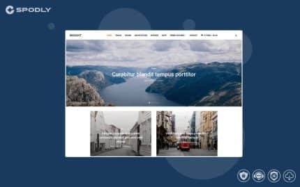 WPZoom - Insight - WordPress Theme
