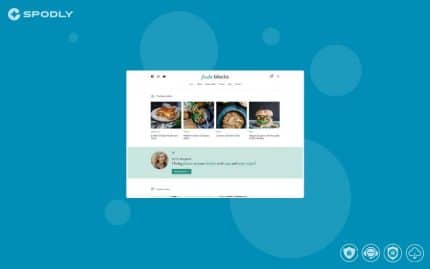 WPZoom - Petit - WordPress Theme